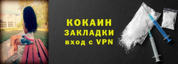 крисы Магас