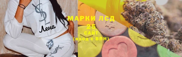 крисы Магас