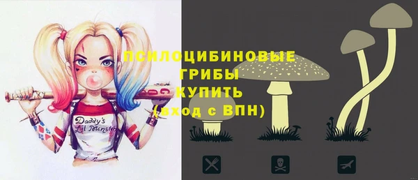 индика Чегем