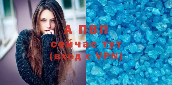 крисы Магас