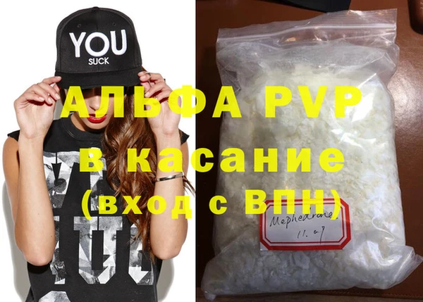 крисы Магас