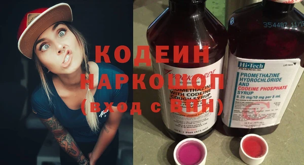 крисы Магас