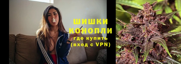 не бодяженный Горно-Алтайск