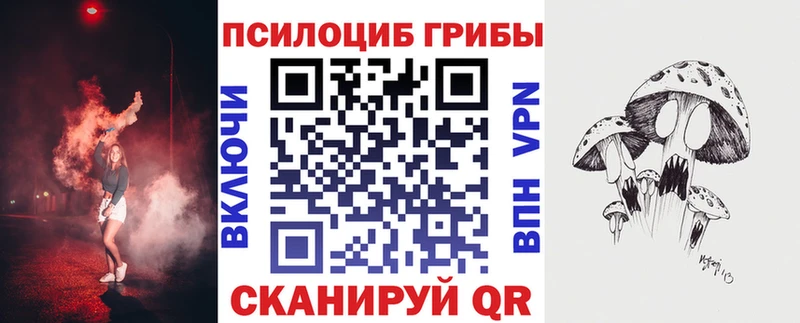 где можно купить наркотик нарко площадка состав Псилоцибиновые грибы мицелий Моршанск KRAKEN как войти