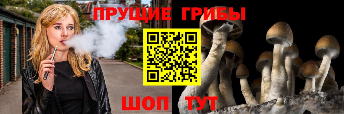 Галлюциногенные грибы MAGIC MUSHROOMS  Моршанск 